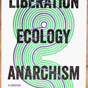 A3 'Liberation, Ecology, Anarchism' Poster
